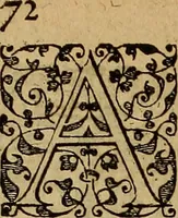 An illustration from Americae tertia pars : memorabile provinciæ Brasiliæ historiam contines (1592)