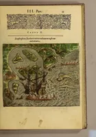 Picture 4 of 16 from Americae tertia pars Memorabile[m] provinciae Brasiliae historiam contine[n]s, Germanico primùm sermone scriptam à Ioa[n]ne Stadio Homburgensi Hesso, nunc autem Latinitate donatam à Teucrio Annaeo Priuato Colchanthe Po: & Med: addita est narratio profectionis Ioannis Lerij in eamdem provinciam, qua[m] ille initio Gallicè conscripsit, postea verò Latinam fecit. : His accessit descriptio morum & ferocitatis incolarum illius regionis, atque colloquium ipsorum idiomate conscriptum. (1597), leaf 45
