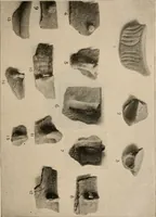 Picture 40 of 88 from The American archaeologist [serial] (1898), leaf 126