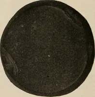Picture 41 of 88 from The American archaeologist [serial] (1898), leaf 127
