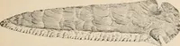 Picture 44 of 88 from The American archaeologist [serial] (1898), leaf 150