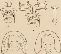 Picture 5 of 88 from The American archaeologist [serial] (1898), leaf 16