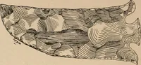 An illustration from The American archaeologist [serial] (1898)