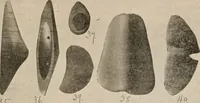 An illustration from The American archaeologist [serial] (1898)