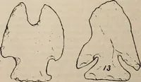 Picture 73 of 88 from The American archaeologist [serial] (1898), leaf 249