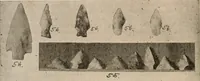 Picture 75 of 88 from The American archaeologist [serial] (1898), leaf 269