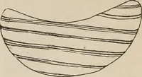 An illustration from The American archaeologist [serial] (1898)