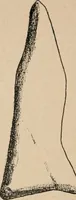 An illustration from The American archaeologist [serial] (1898)