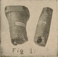 Picture 23 of 88 from The American archaeologist [serial] (1898), leaf 67