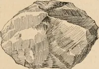 An illustration from The American archaeologist [serial] (1898)