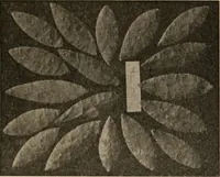 An illustration from The American archaeologist [serial] (1898)