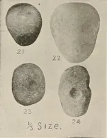 Picture 31 of 88 from The American archaeologist [serial] (1898), leaf 97