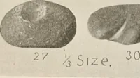 Picture 33 of 88 from The American archaeologist [serial] (1898), leaf 98