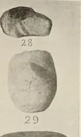 Picture 34 of 88 from The American archaeologist [serial] (1898), leaf 98