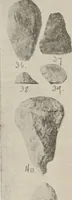 Picture 35 of 88 from The American archaeologist [serial] (1898), leaf 99