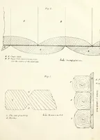 An illustration from The American architect : comprising original designs of cheap country and village residences, with details, specifications, plans and directions, and an estimate of the cost of each design (1849)