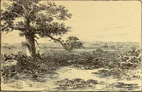 An illustration from American art and American art collections; essays on artistic subjects (1889)