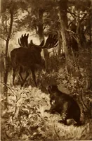 An illustration from American art and American art collections; essays on artistic subjects (1889)