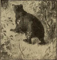 An illustration from American art and American art collections; essays on artistic subjects (1889)