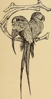 An illustration from American art and American art collections; essays on artistic subjects (1889)