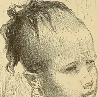 An illustration from American art and American art collections; essays on artistic subjects (1889)