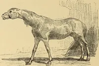 An illustration from American art and American art collections; essays on artistic subjects (1889)