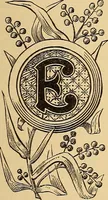 An illustration from American art and American art collections; essays on artistic subjects (1889)
