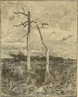 An illustration from American art and American art collections; essays on artistic subjects (1889)