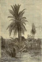 An illustration from American art and American art collections; essays on artistic subjects (1889)