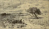 An illustration from American art and American art collections; essays on artistic subjects (1889)