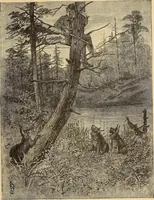 An illustration from American art and American art collections; essays on artistic subjects (1889)