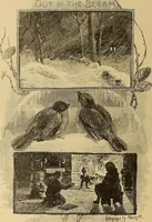 An illustration from American art and American art collections; essays on artistic subjects (1889)