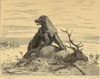 An illustration from American art and American art collections; essays on artistic subjects (1889)