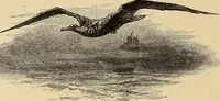 An illustration from American art and American art collections; essays on artistic subjects (1889)