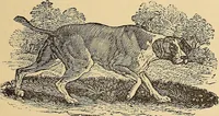 An illustration from American art and American art collections; essays on artistic subjects (1889)