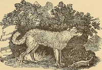 An illustration from American art and American art collections; essays on artistic subjects (1889)