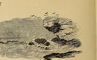 An illustration from American art and American art collections; essays on artistic subjects (1889)