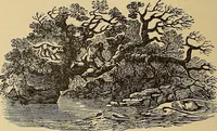 An illustration from American art and American art collections; essays on artistic subjects (1889)