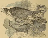 An illustration from American art and American art collections; essays on artistic subjects (1889)