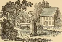 An illustration from American art and American art collections; essays on artistic subjects (1889)