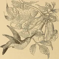 An illustration from American art and American art collections; essays on artistic subjects (1889)