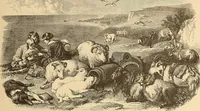An illustration from American art and American art collections; essays on artistic subjects (1889)