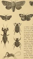 An illustration from American art and American art collections; essays on artistic subjects (1889)