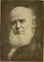 An illustration from American art and American art collections; essays on artistic subjects (1889)
