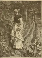 An illustration from American art and American art collections; essays on artistic subjects (1889)