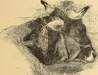 An illustration from American art and American art collections; essays on artistic subjects (1889)