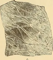 An illustration from American art and American art collections; essays on artistic subjects (1889)