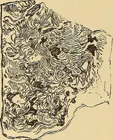 An illustration from American art and American art collections; essays on artistic subjects (1889)