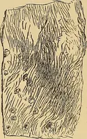 An illustration from American art and American art collections; essays on artistic subjects (1889)