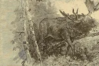 An illustration from American art and American art collections; essays on artistic subjects (1889)